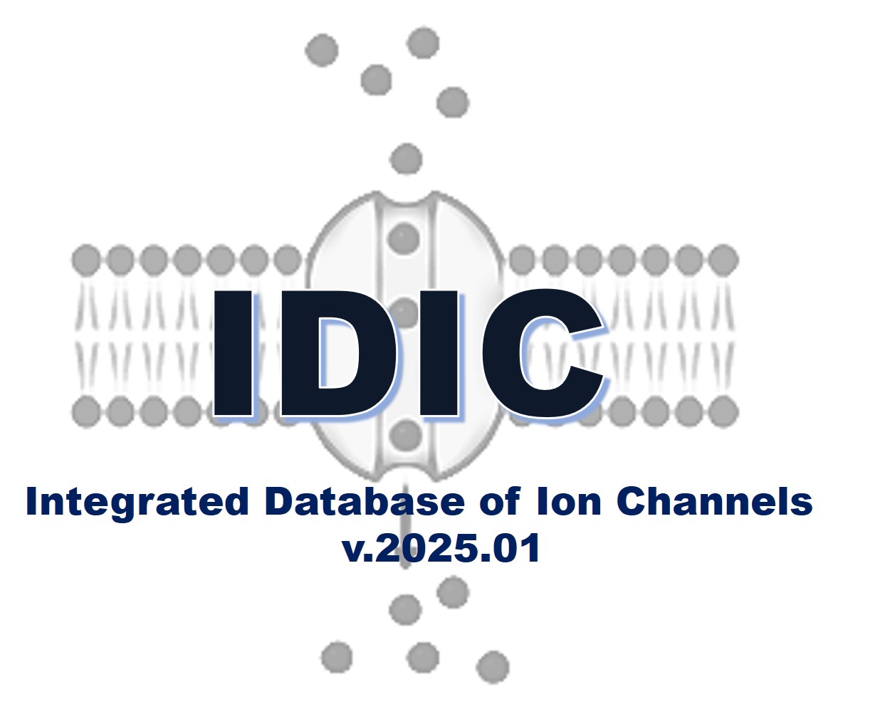 IDIC_logo